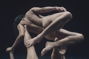 J´ai Pleuré avec les chiens - Daina Ashbee